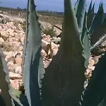 Сasa de vacaciones Mas Des 4 Vents *