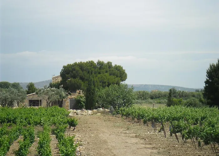 Casa vacanze Mas Des 4 Vents *